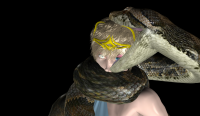 426022