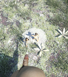 3482317