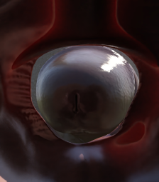 643802
