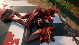 3570567