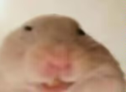 7861