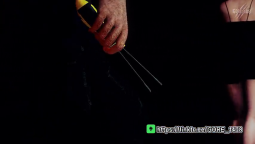 4256159