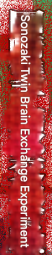 106361