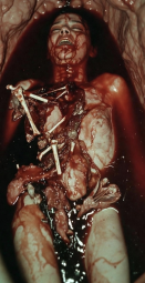 347833