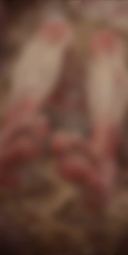 6515417