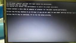 2956075