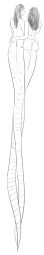 110315