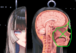 444123