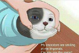 36050