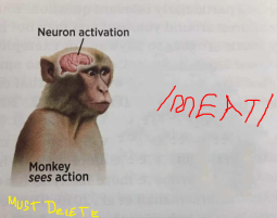 286884