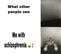 79238