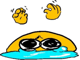 25028