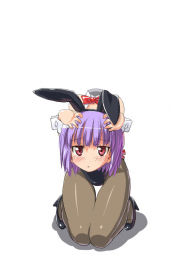 50697