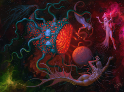 215645