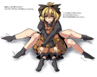 77049