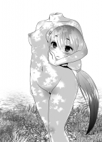 245456