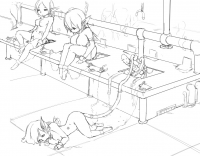 306053