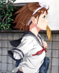 231284