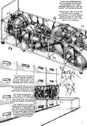 441267