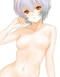 46070