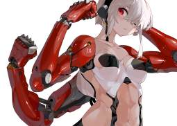 4891617