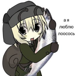 77494