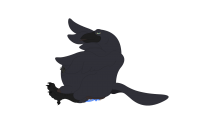 50184