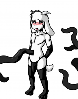 224853