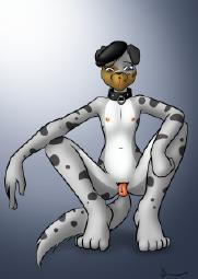 456658