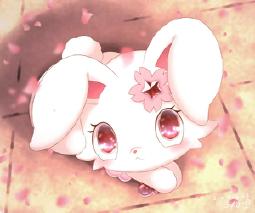 76291