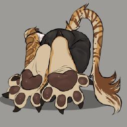 141008