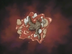 255696