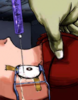 32873