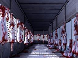 156237