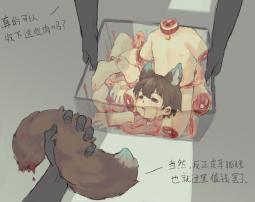 2587544