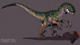 56357