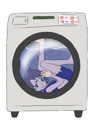 231