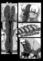 136192