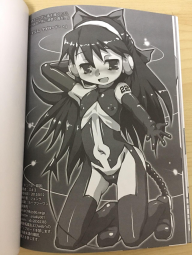 255023