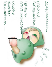 33256