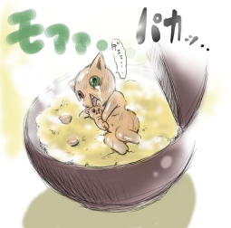 47255