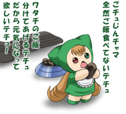 55041