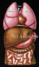 19777