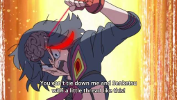 33431