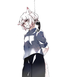 284074