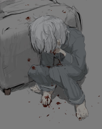 264416
