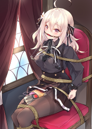 2274804