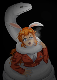 155567