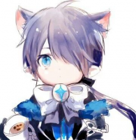24155