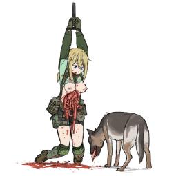 114202
